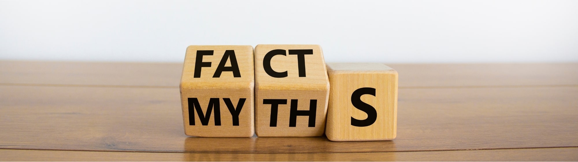 fakta a myty - final